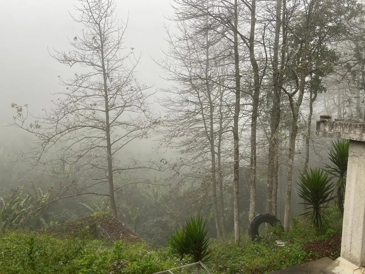 Fog rolling over the farm in the early morning